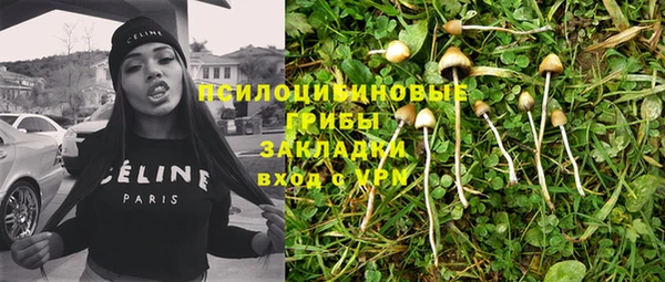 бошки Белокуриха