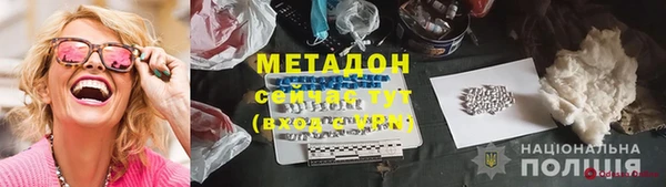 индика Новозыбков