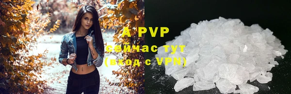 бошки Белокуриха