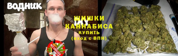 ПСИЛОЦИБИНОВЫЕ ГРИБЫ Армянск
