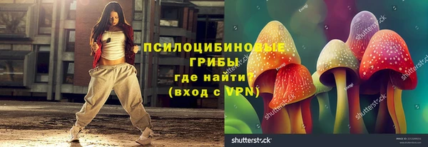 ПСИЛОЦИБИНОВЫЕ ГРИБЫ Армянск